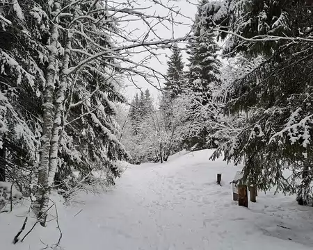 IMG_20260206_005 Vendredi 6 février. Il a neigé durant la nuit.