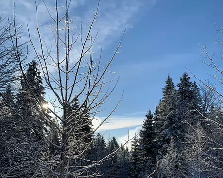 IMG_20260207_010 Samedi 7 février. Le soleil est de retour dés le lever.