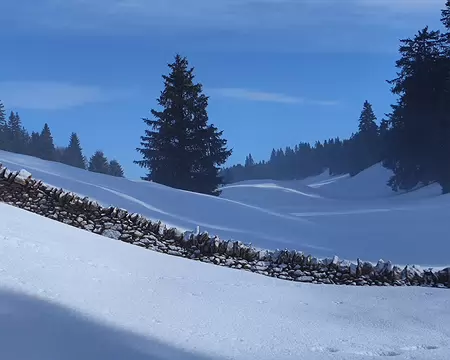 IMG_20260207_020 Les murs en pierres sèches qui délimitent certains alpages et prés de fauche sont un patrimoine du Jura Vaudois. Ils sont protégés par la Loi sur la protection...