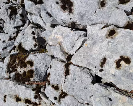 IMG_20260207_025 Pas de ciment dans ces murs.