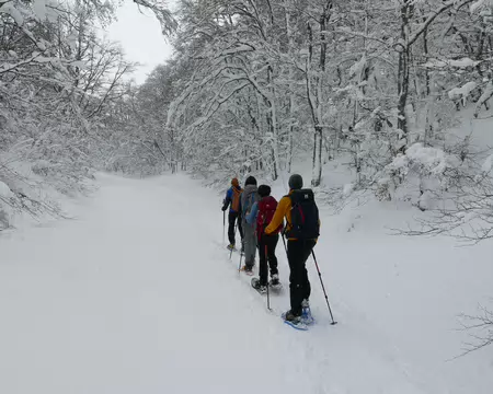 2026-02-21-10h12m09 Sur le sentier de la traversée du Vercors.