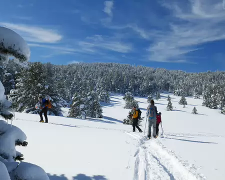 2026-02-21-11h31m03 C'est reparti sur le GR93 après un petit crochet belvédère.