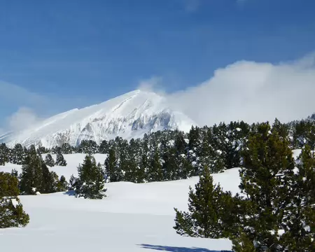 2026-02-21-12h46m10 Vue sur le Grand Veymont (2341m).