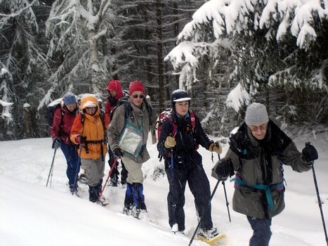 06-01 Nouvel An en Ariege