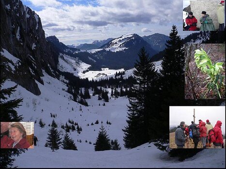 08-02 Chablais détail de la sortie