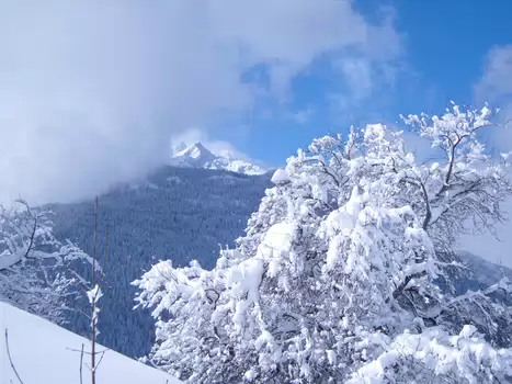 08-03 Beaufortain détail de la sortie