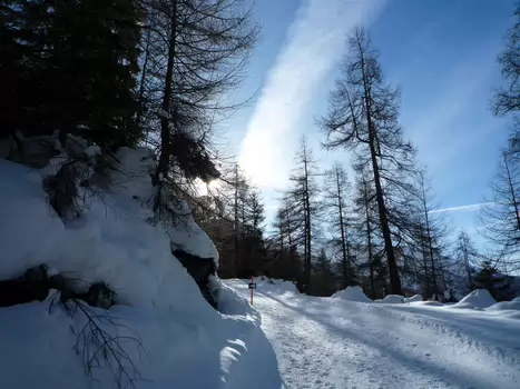 2009-01 Bessans détail de la sortie