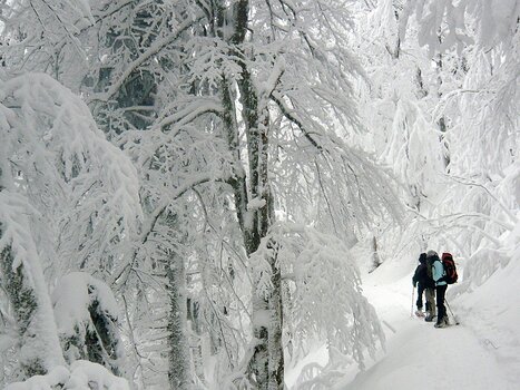 2009-02 Vosges Jean-Charles Ricaud, Christelle Bailliez, Hélène Battut, Béatrice Coutant., détail sortie