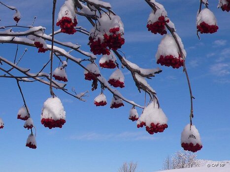 2010-01 Arvan Céline Falissard, Séverine Nourisson, Christian Cartwright , Michel Gollac, détail sortie