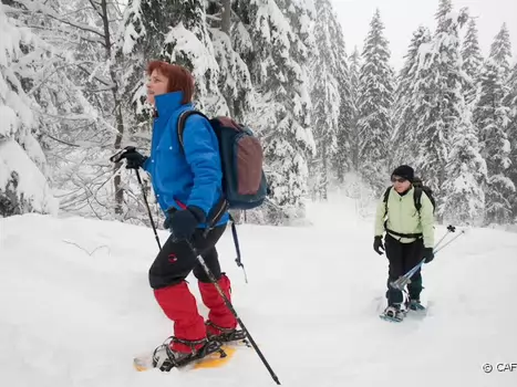 2010-01 Belledonne Frédéric Augendre, détail sortie