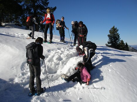 2011-01 Plateau des Glieres détail de la sortie