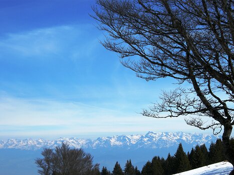 2011-02 Vercors - moyen détail de la sortie