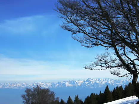 2011-02 Vercors - moyen détail de la sortie