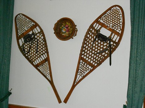 2012-01 Vosges détail de la sortie