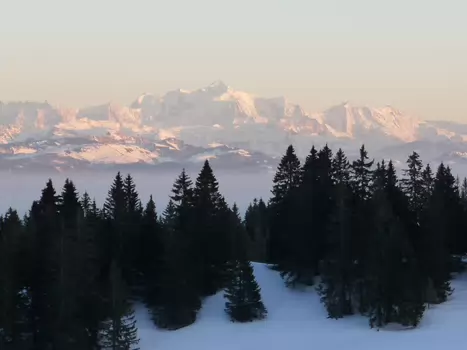 2012-02 Jura suisse détail de la sortie