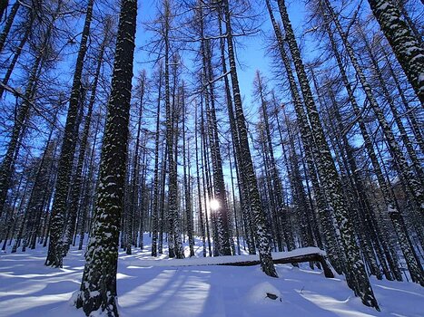 2012-12 Queyras Xavier L, détail sortie