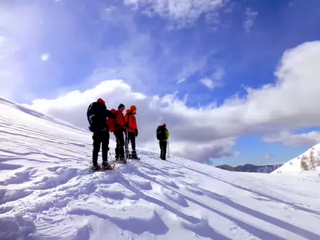 2014-03 Alpes Maritimes Bernadette P, détail sortie