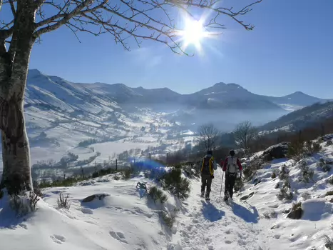 2014-12 Cantal Jean-Charles R., Laurence J., Gilles J., Béatrice C, détail sortie