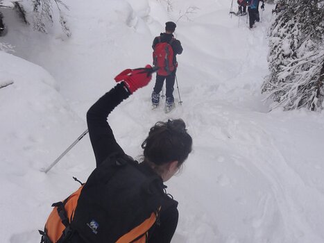 2016-02 Plateau des Glières Jean-Philippe D, détail sortie