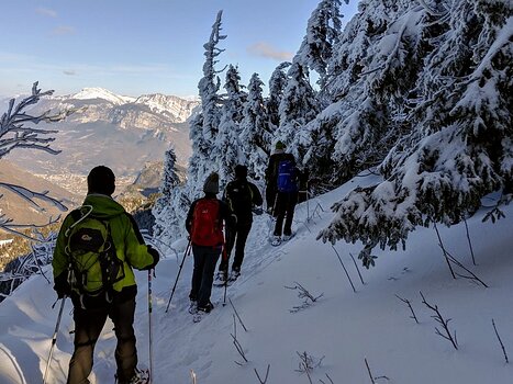 2019-01 Vercors Ted L, détail sortie