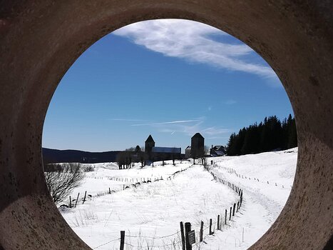2019-02 Aubrac Thierry M, détail sortie