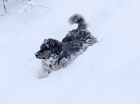 2021-12 Bourg Saint Maurice Marie Christine F, Isabelle M, Xavier L, détail sortie