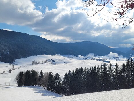 2023-01 Découverte Vercors Céline F, détail sortie