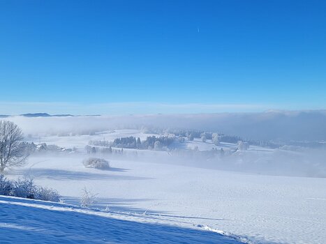 2024-01 Jura - Chalam Alba S, Céline F, détail sortie
