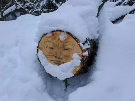 2026-02 Jura suisse Guillaume A, Marina F, Bénédicte S, Martine S, Thierry M, détail sortie