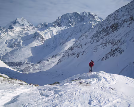001 Le Grand Combin et le Vélan depuis le sommet du Mont Telliers