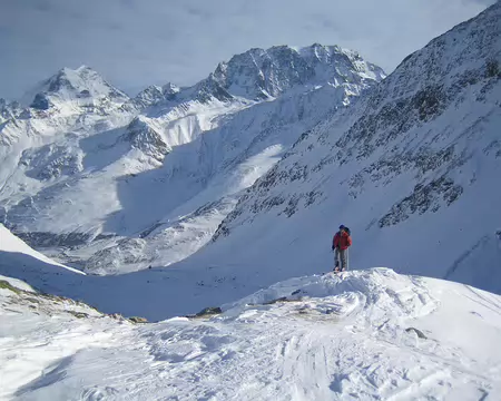 001 Le Grand Combin et le Vélan depuis le sommet du Mont Telliers