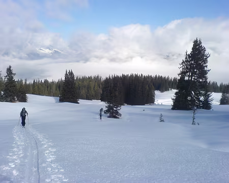 DSC00556 Montée au Girenspitz