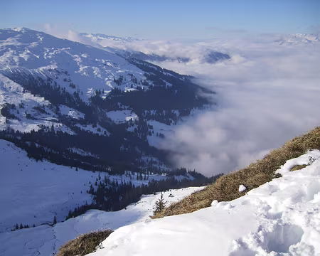 007 Depuis le Girenspitz