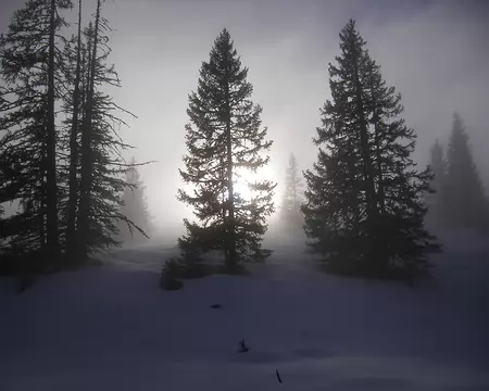 017