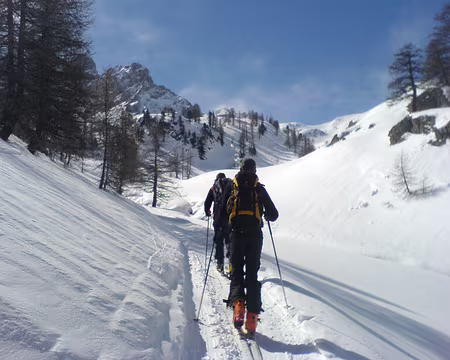 DSC00609 Ski de fond