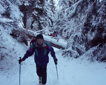 11 montee dans les sous bois