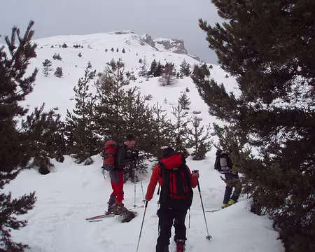 13.jpg pause dans les derniers sapins