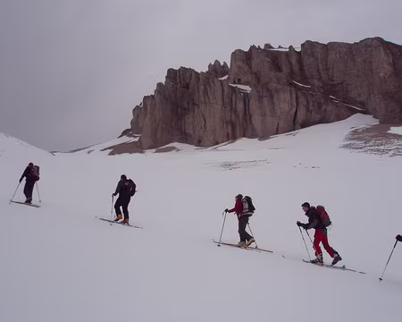 16.jpg sous la tete de l'oriol
