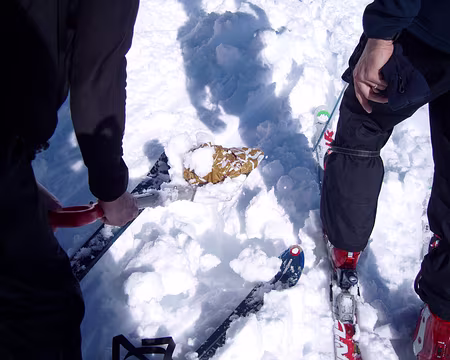 S1033537 il est vivant !!!