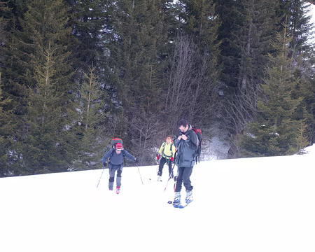 S1033551 et on remonte