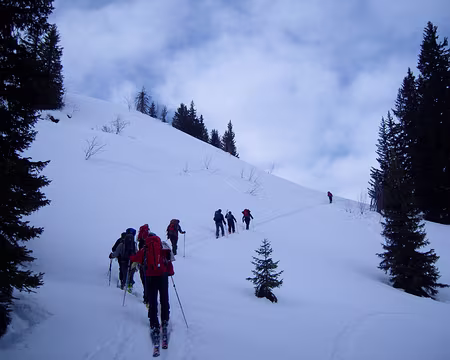 S1033553 les 2 groupes se suivent