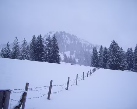 S1033477 oh, une éclaircie !!!