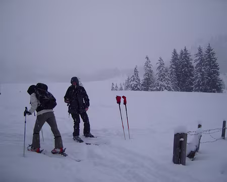 S1033479 dimanche matin, test arva