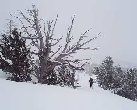 034 le paysage meritrait meilleur visibilite