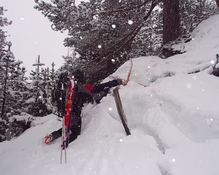 037 les pieges des chemins d'ete