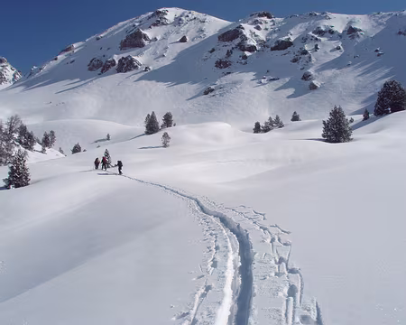 057 seance de trace dans l'immensite desertique, le reve