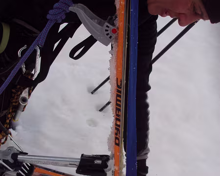 14 resultat sur les peaux, rien ne colle