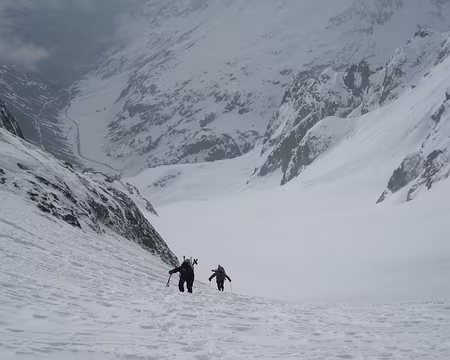 2009-05-05_10 Fünffingerstock