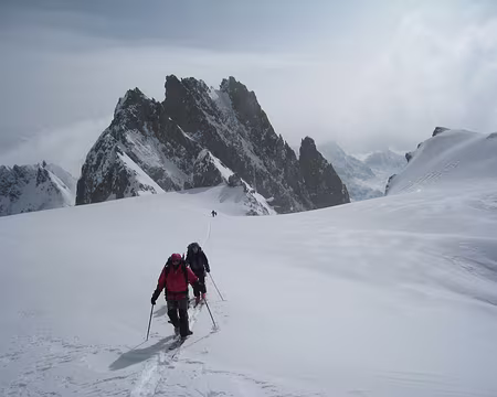 2009-05-05_12 Fünffingerstock