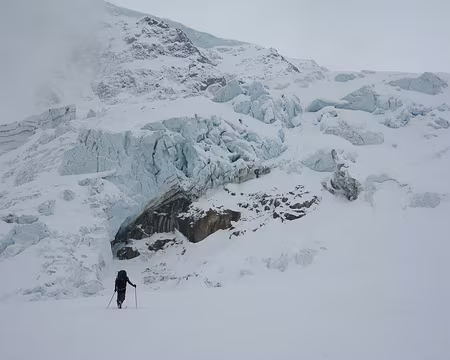 2009-05-05_17 Steingletscher